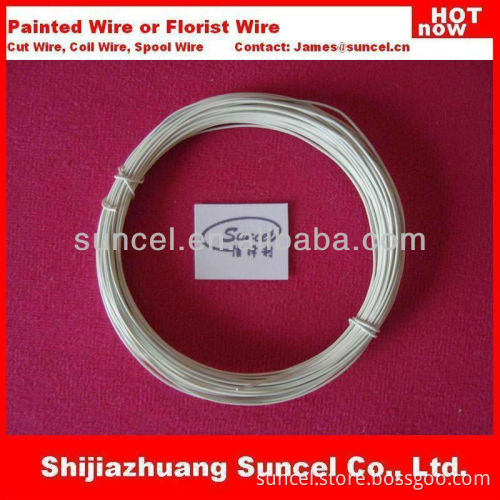 White Painted wire and Florit Stem Wire (Factory)